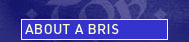 About a Bris